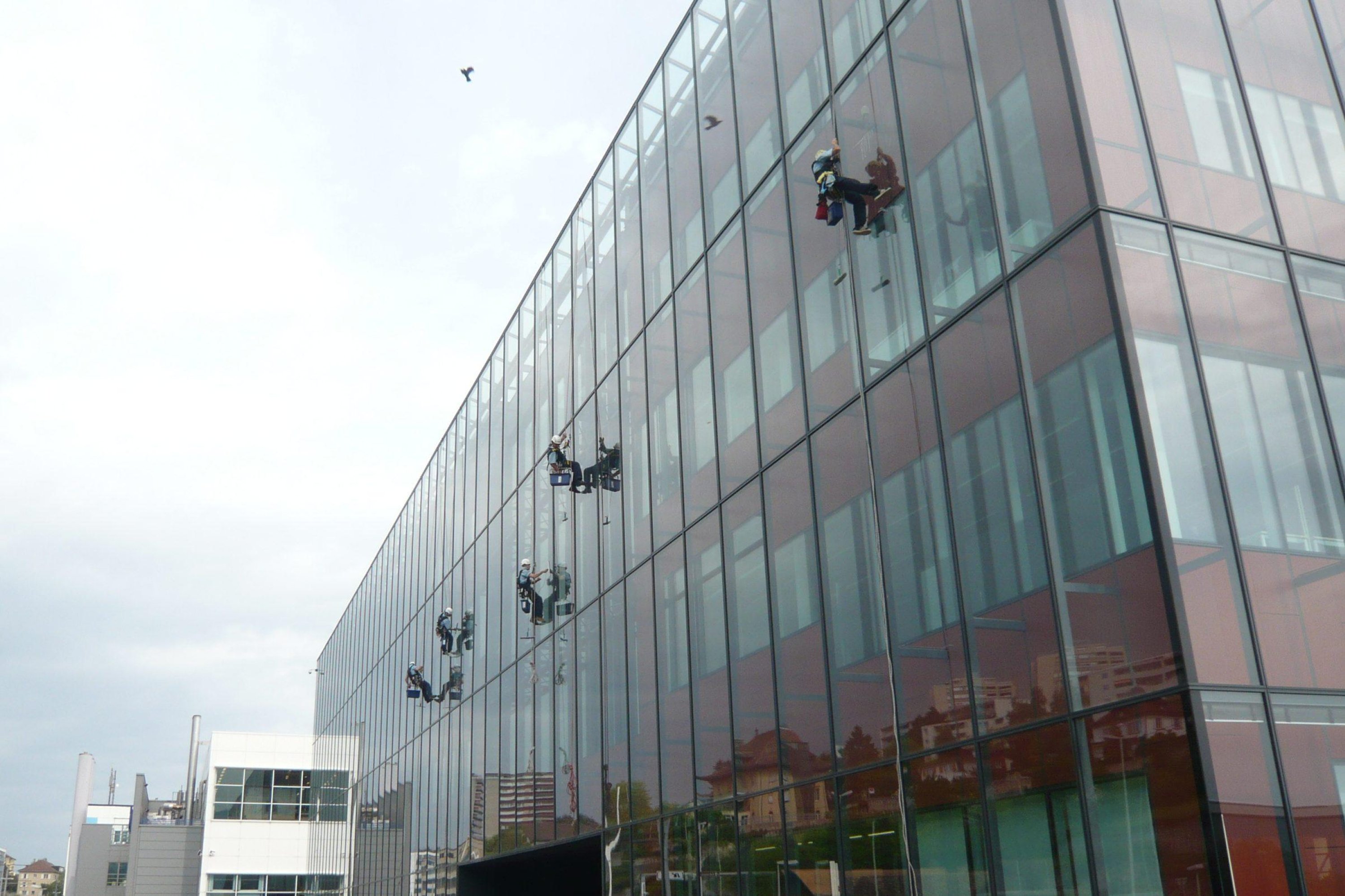 Glasreinigung im Team  – Toprope