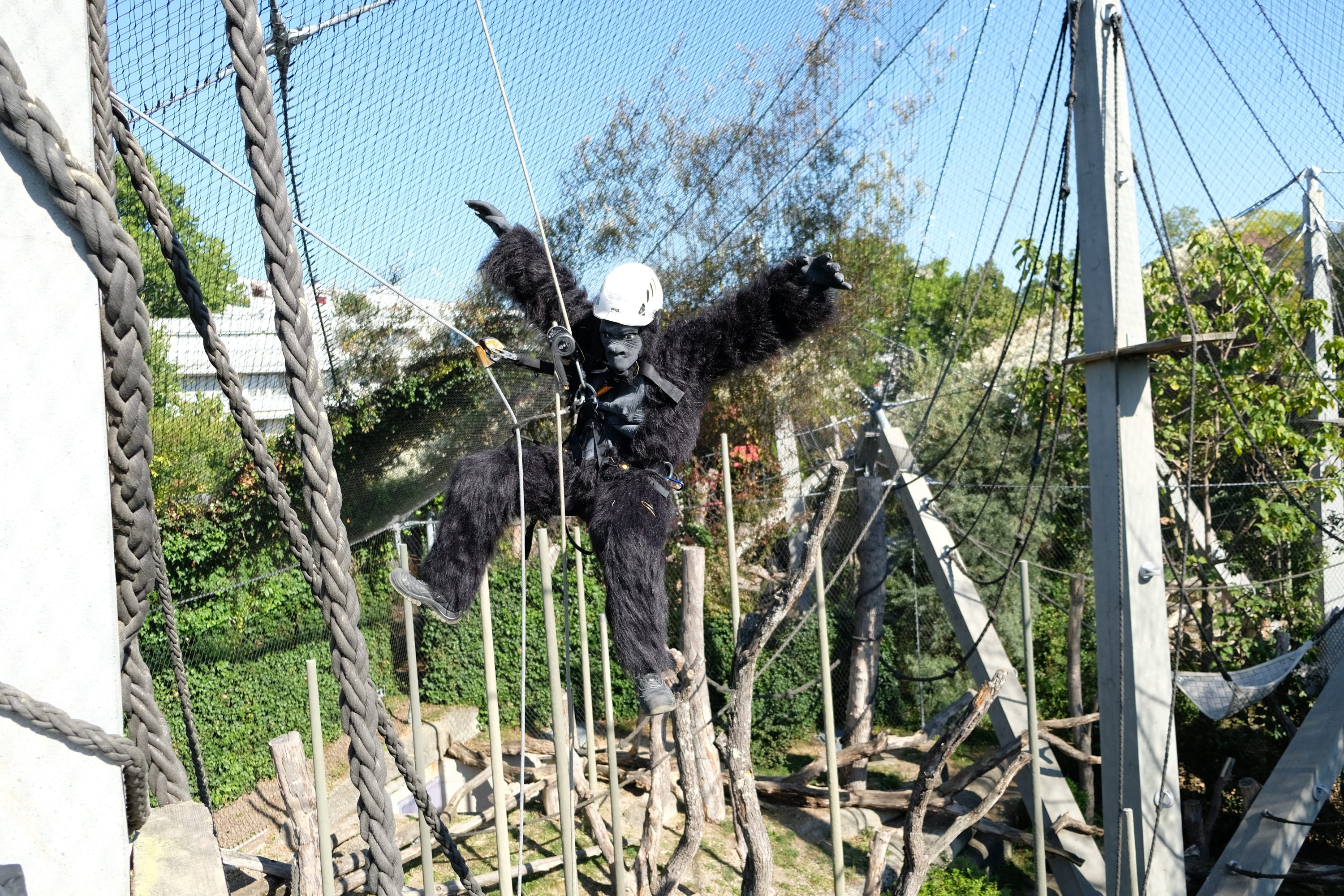 Kletterer im Affenkostüm  – Toprope